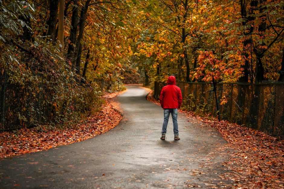 Person stands on a leaf-covered path during autumn, surrounded by colorful foliage.